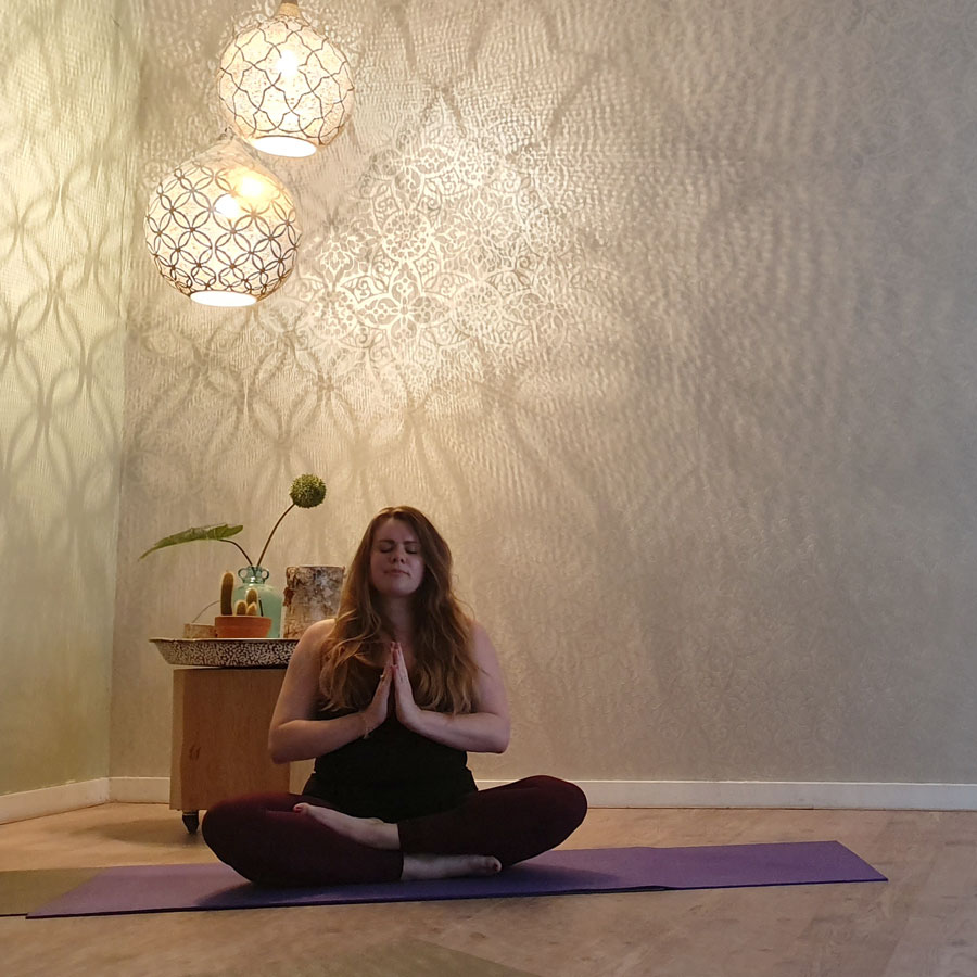 Yin yoga Rosmalen